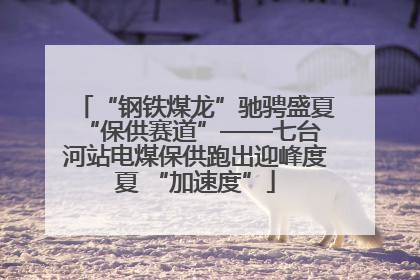 “钢铁煤龙”驰骋盛夏 “保供赛道”——七台河站电煤保供跑出迎峰度夏 “加速度”