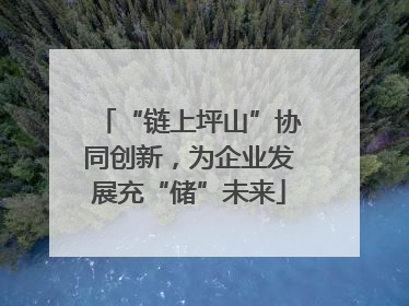 “链上坪山”协同创新，为企业发展充“储”未来
