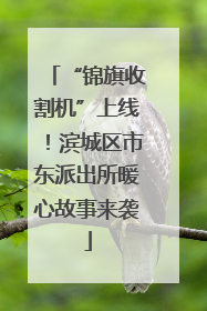 “锦旗收割机”上线！滨城区市东派出所暖心故事来袭