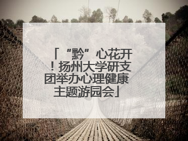 “黔”心花开！扬州大学研支团举办心理健康主题游园会