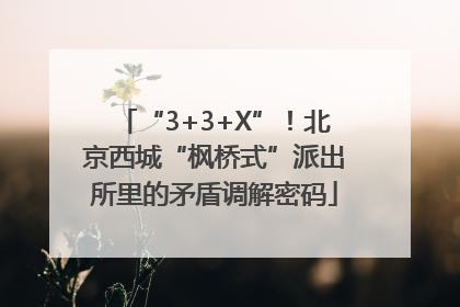 “3+3+X”！北京西城“枫桥式”派出所里的矛盾调解密码