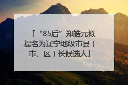 “85后”郑皓元拟提名为辽宁地级市县（市、区）长候选人