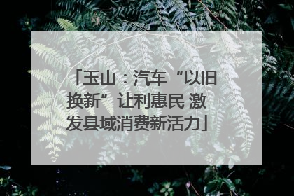 玉山：汽车“以旧换新”让利惠民 激发县域消费新活力
