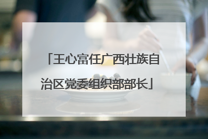 王心富任广西壮族自治区党委组织部部长