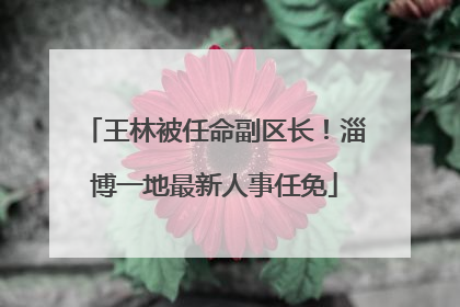 王林被任命副区长！淄博一地最新人事任免