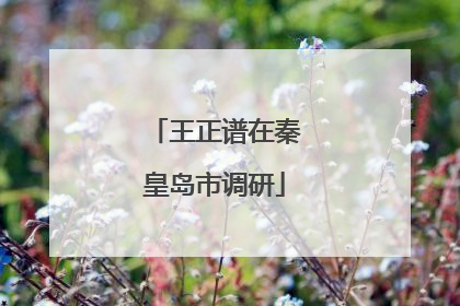 王正谱在秦皇岛市调研