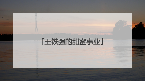 王铁强的甜蜜事业