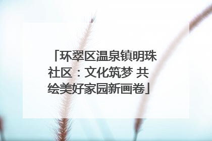 环翠区温泉镇明珠社区：文化筑梦 共绘美好家园新画卷