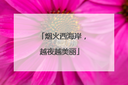 烟火西海岸，越夜越美丽