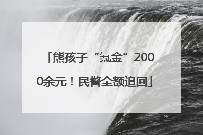 熊孩子“氪金”2000余元！民警全额追回