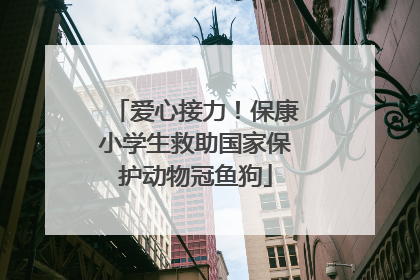 爱心接力！保康小学生救助国家保护动物冠鱼狗