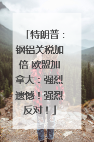 特朗普：钢铝关税加倍 欧盟加拿大：强烈遗憾！强烈反对！
