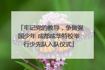 牢记党的教导，争做强国少年 成都成华特校举行少先队入队仪式