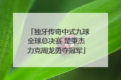 独牙传奇中式九球全球总决赛 楚秉杰力克周龙勇夺冠军