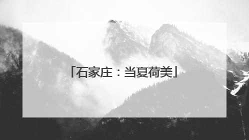 石家庄：当夏荷美