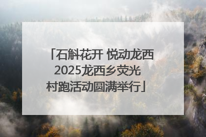 石斛花开 悦动龙西 2025龙西乡荧光村跑活动圆满举行