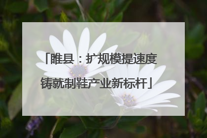 睢县：扩规模提速度 铸就制鞋产业新标杆