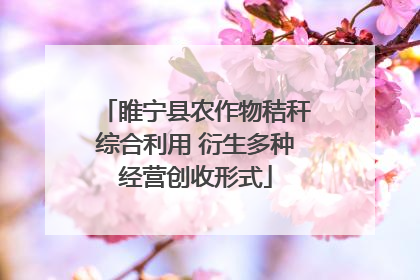 睢宁县农作物秸秆综合利用 衍生多种经营创收形式