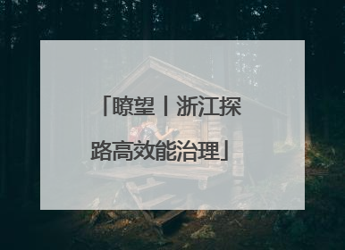 瞭望丨浙江探路高效能治理