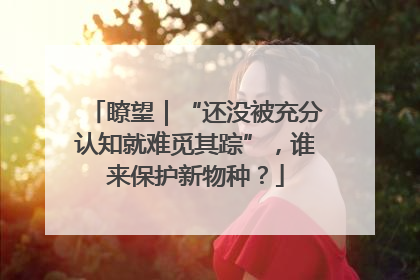 瞭望｜“还没被充分认知就难觅其踪”，谁来保护新物种？