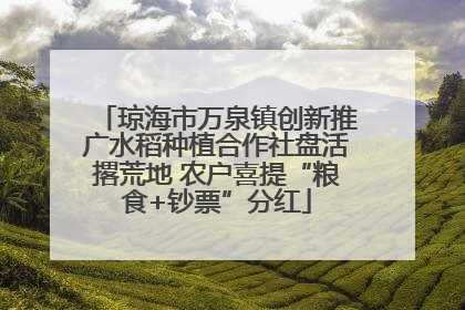 琼海市万泉镇创新推广水稻种植合作社盘活撂荒地 农户喜提“粮食+钞票”分红