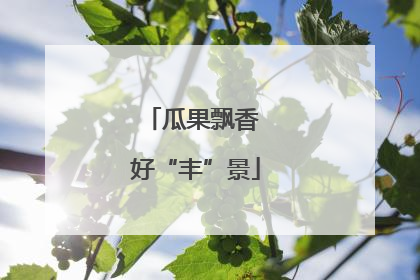 瓜果飘香 好“丰”景