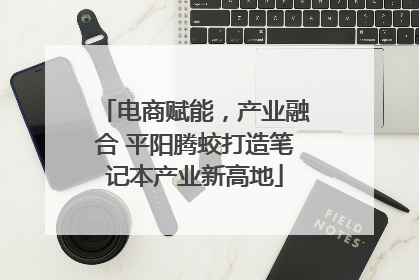 电商赋能，产业融合 平阳腾蛟打造笔记本产业新高地