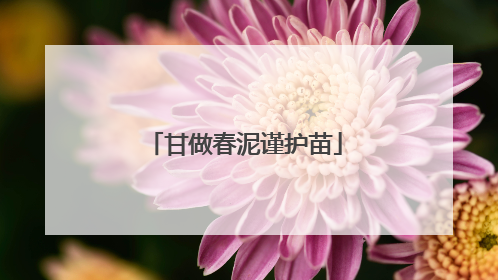 甘做春泥谨护苗