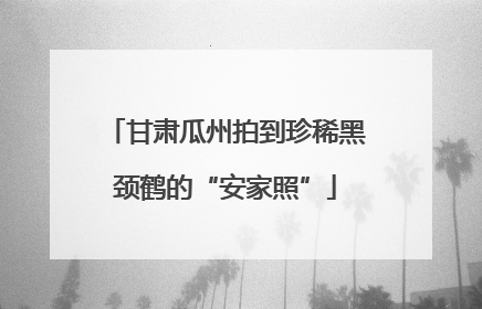 甘肃瓜州拍到珍稀黑颈鹤的“安家照”