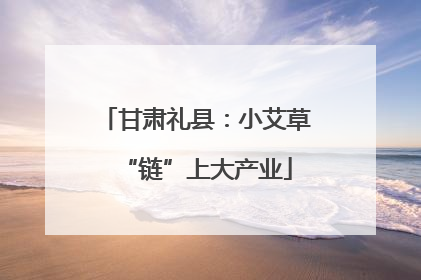 甘肃礼县：小艾草“链”上大产业