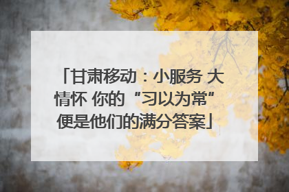 甘肃移动：小服务 大情怀 你的“习以为常”便是他们的满分答案