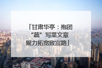 甘肃华亭：抱团“蔬”写菜文章 聚力拓宽致富路