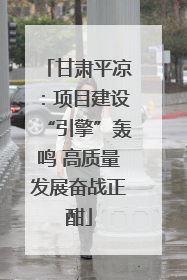 甘肃平凉：项目建设“引擎”轰鸣 高质量发展奋战正酣