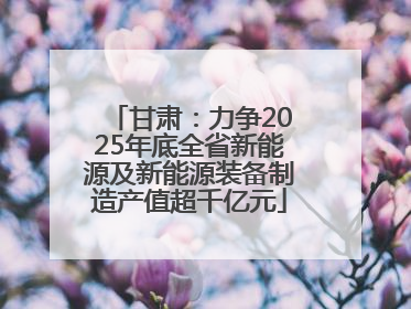 甘肃：力争2025年底全省新能源及新能源装备制造产值超千亿元