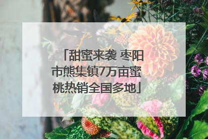 甜蜜来袭 枣阳市熊集镇7万亩蜜桃热销全国多地
