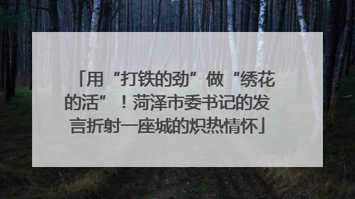 用“打铁的劲”做“绣花的活”！菏泽市委书记的发言折射一座城的炽热情怀