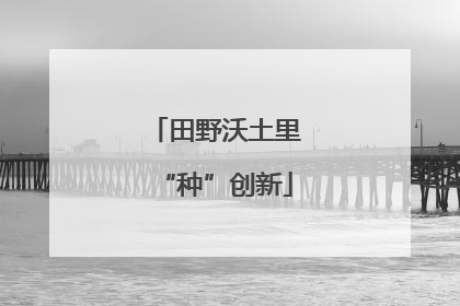 田野沃土里“种”创新