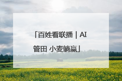 百姓看联播｜AI管田 小麦躺赢