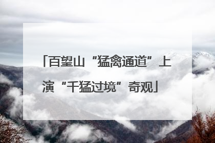 百望山“猛禽通道”上演“千猛过境”奇观