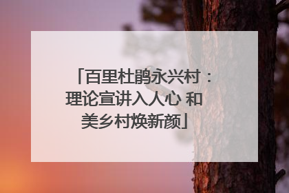 百里杜鹃永兴村：理论宣讲入人心 和美乡村焕新颜