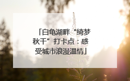 白龟湖畔“绮梦秋千”打卡点：感受城市浪漫温情