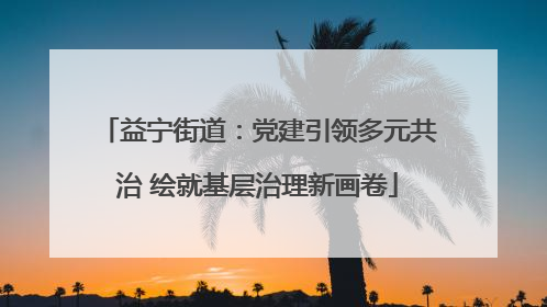 益宁街道：党建引领多元共治 绘就基层治理新画卷