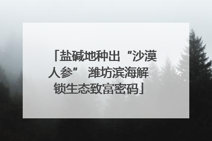 盐碱地种出“沙漠人参” 潍坊滨海解锁生态致富密码