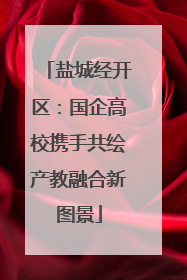 盐城经开区：国企高校携手共绘产教融合新图景