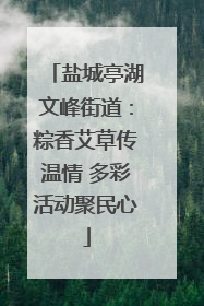 盐城亭湖文峰街道：粽香艾草传温情 多彩活动聚民心