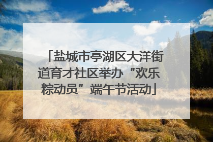 盐城市亭湖区大洋街道育才社区举办“欢乐粽动员”端午节活动