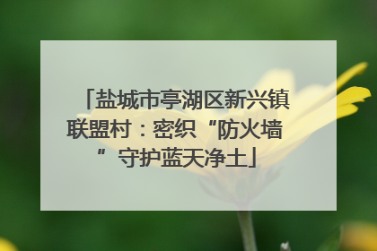 盐城市亭湖区新兴镇联盟村：密织“防火墙”守护蓝天净土