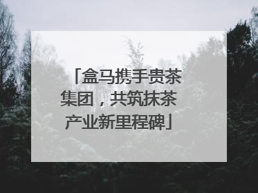 盒马携手贵茶集团，共筑抹茶产业新里程碑