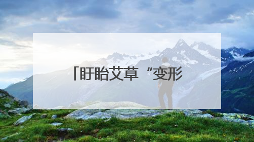 盱眙艾草“变形记”：从荒坡野草到“金枝玉叶”