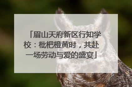 眉山天府新区行知学校：枇杷橙黄时，共赴一场劳动与爱的盛宴